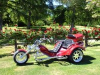 wanaka-trike-tours-weddings