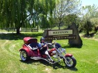 wanaka-trike-tours-wine-tour