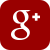 Google+