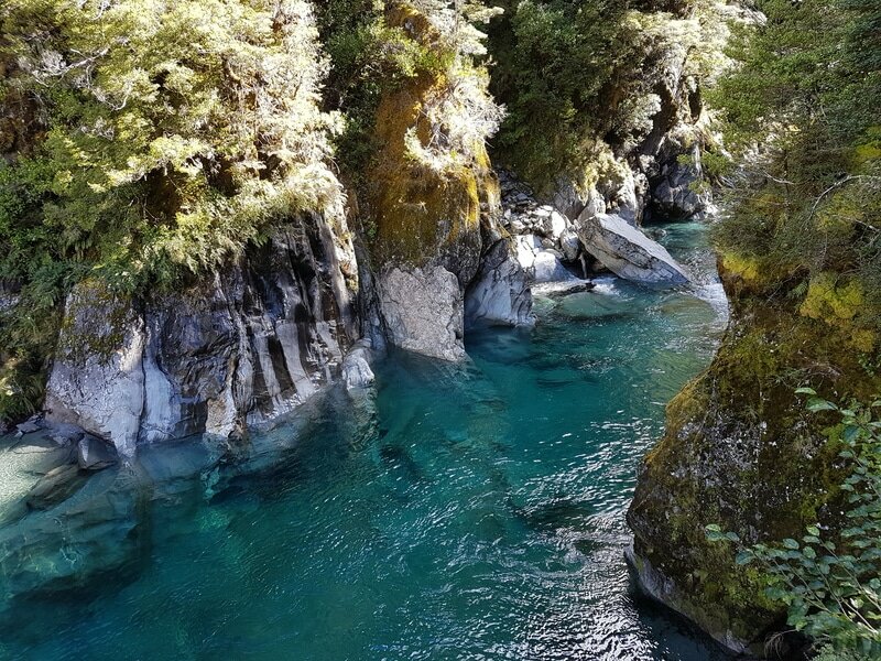 Blue Pools, Makarora NZ